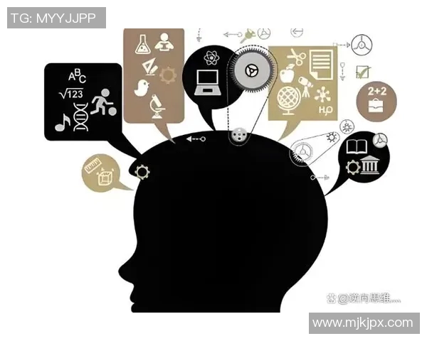 数据分析揭示IG灵活性表现的多维度影响与趋势探讨